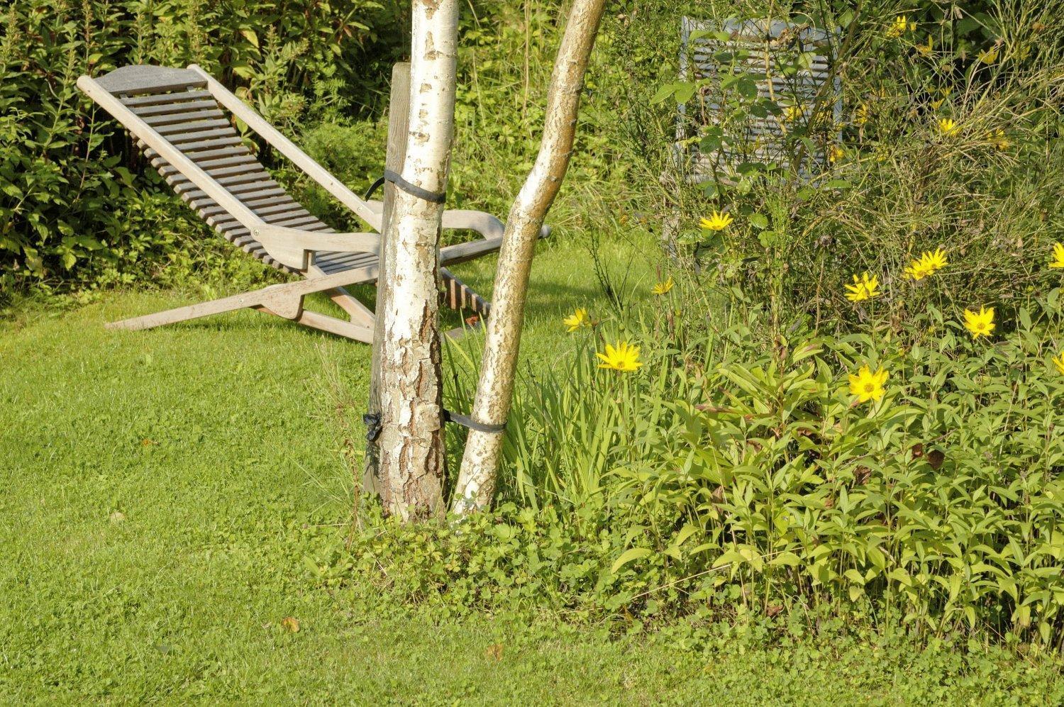 B&B Le Clos De La Fontaine Cheoux Екстер'єр фото